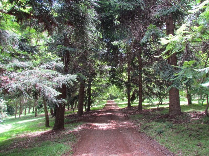 78 Willowbank Drive, Alstonville NSW 2477