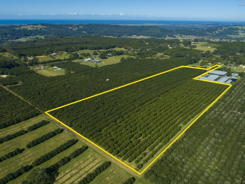 52 Dalwood Road, Dalwood NSW 2477