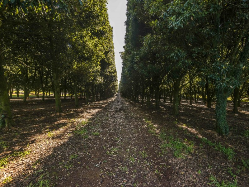 52 Dalwood Road, Dalwood NSW 2477