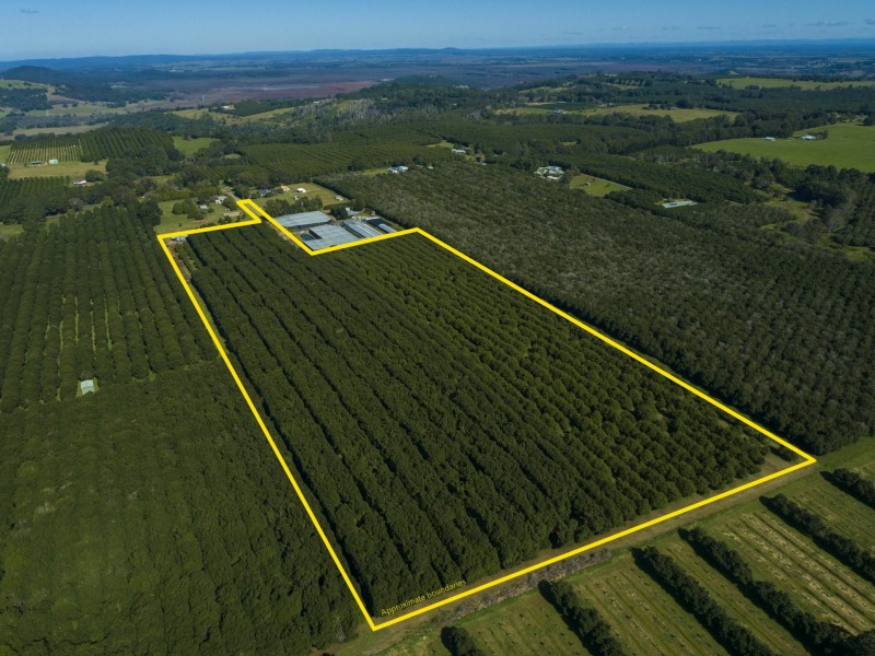 52 Dalwood Road, Dalwood NSW 2477