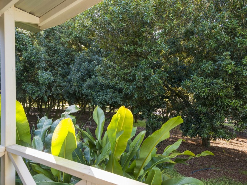 52 Dalwood Road, Dalwood NSW 2477