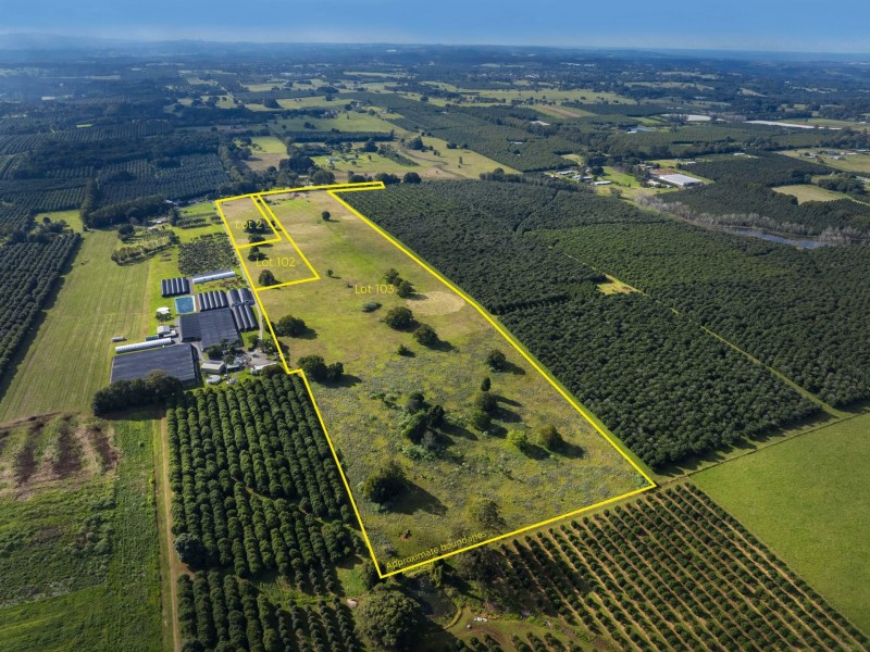 Lot 102/791329/251 Rous Road, Rous NSW 2477