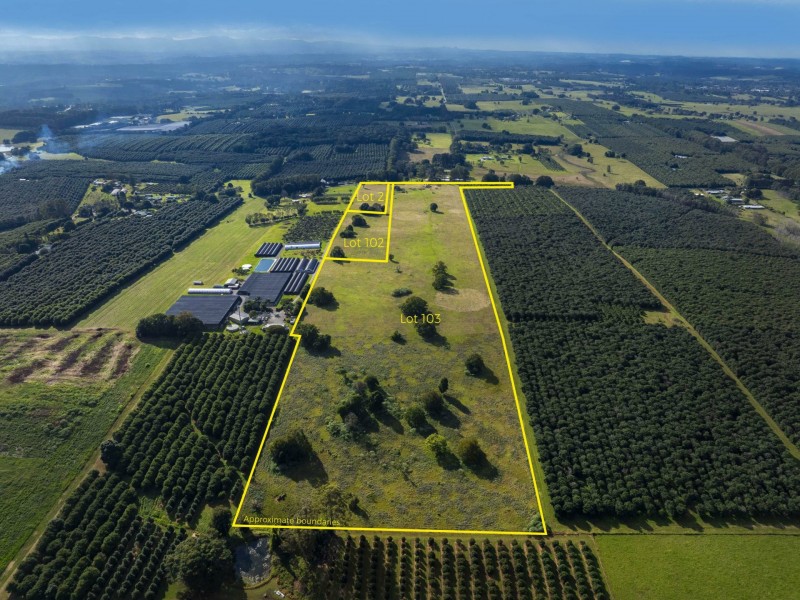 Lot 103/791329/251 Rous Road, Rous NSW 2477