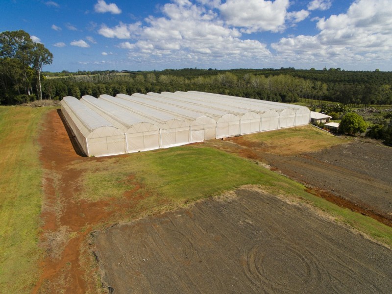 167 Rous Road, Rous NSW 2477