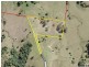 46 Baldock Drive, Mcleans Ridges NSW 2480