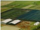 Shed & Nursery/31 Morelia Lane, Wollongbar NSW 2477