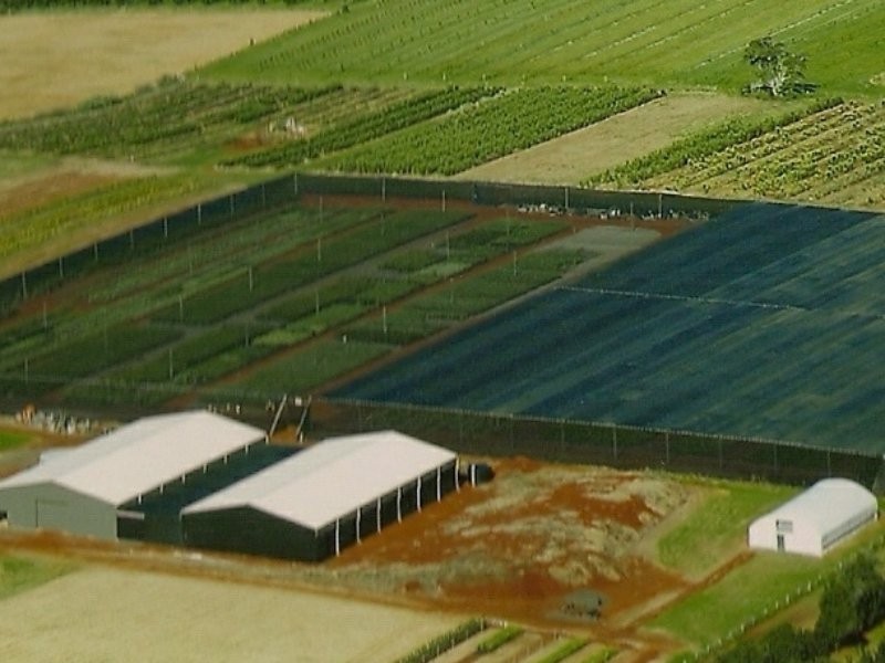 Shed & Nursery/31 Morelia Lane, Wollongbar NSW 2477