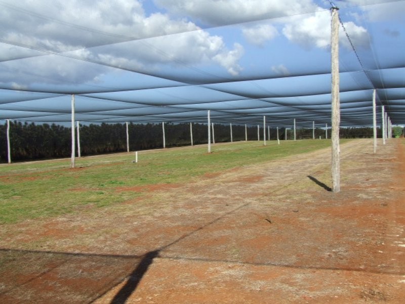 Shed & Nursery/31 Morelia Lane, Wollongbar NSW 2477