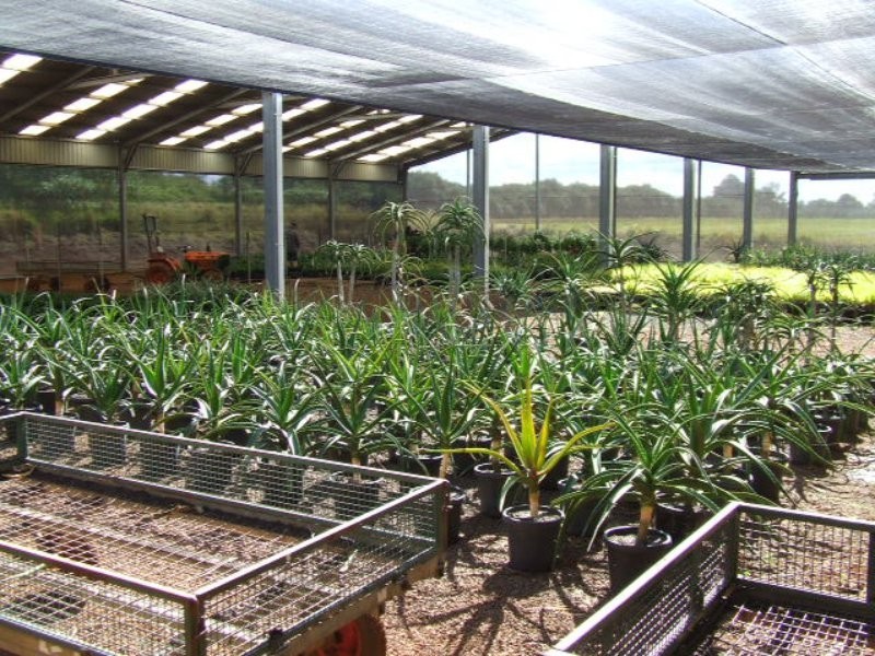 Shed & Nursery/31 Morelia Lane, Wollongbar NSW 2477