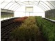 Shed & Nursery/31 Morelia Lane, Wollongbar NSW 2477