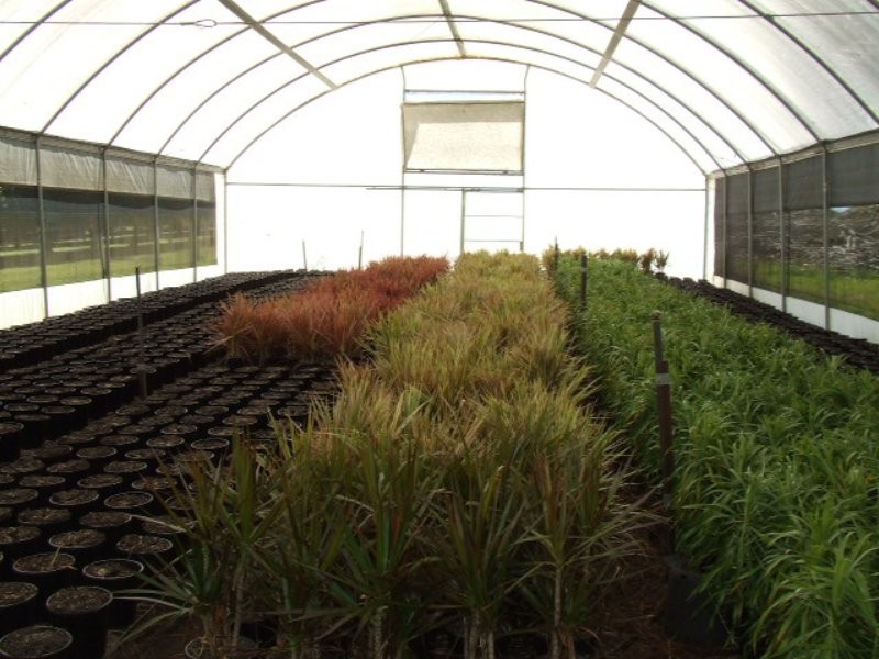 Shed & Nursery/31 Morelia Lane, Wollongbar NSW 2477