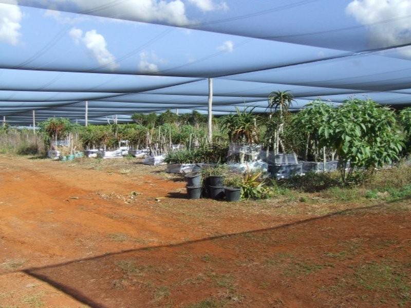 Shed & Nursery/31 Morelia Lane, Wollongbar NSW 2477