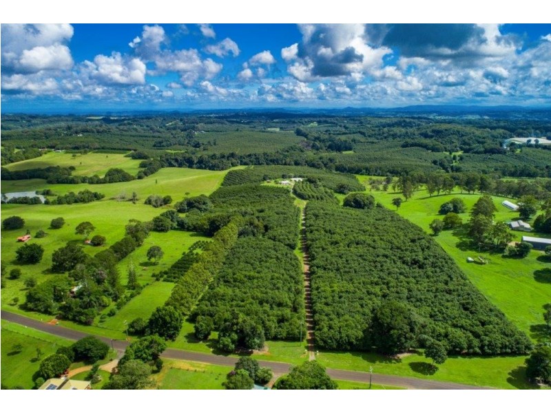 98 Lindendale Road, Wollongbar NSW 2477