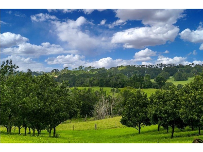 98 Lindendale Road, Wollongbar NSW 2477