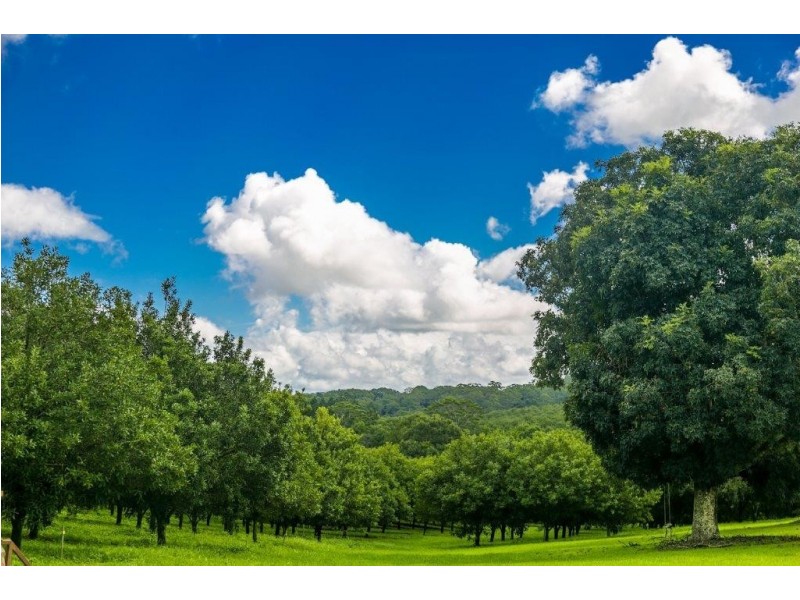 98 Lindendale Road, Wollongbar NSW 2477