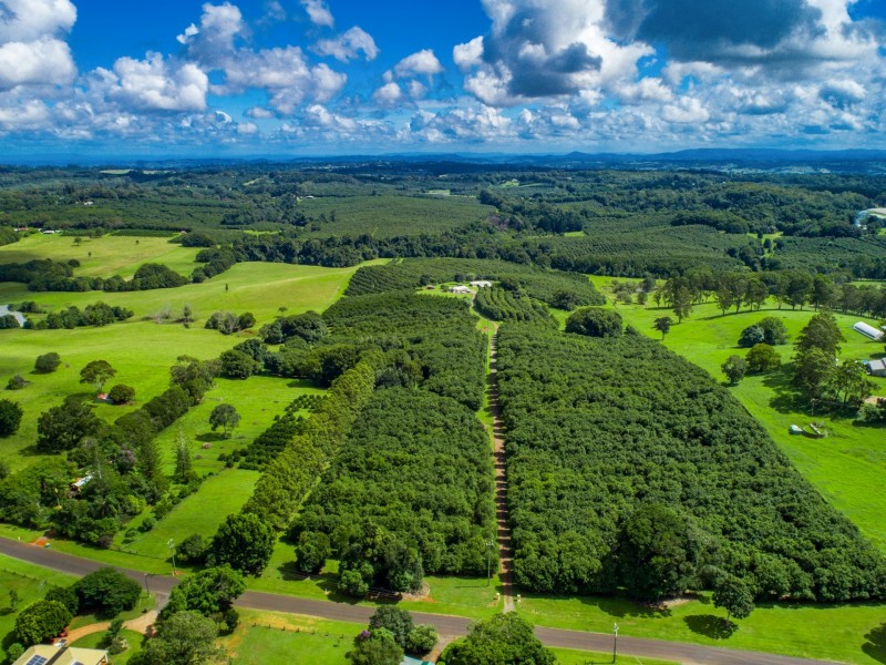 98 Lindendale Road, Wollongbar NSW 2477