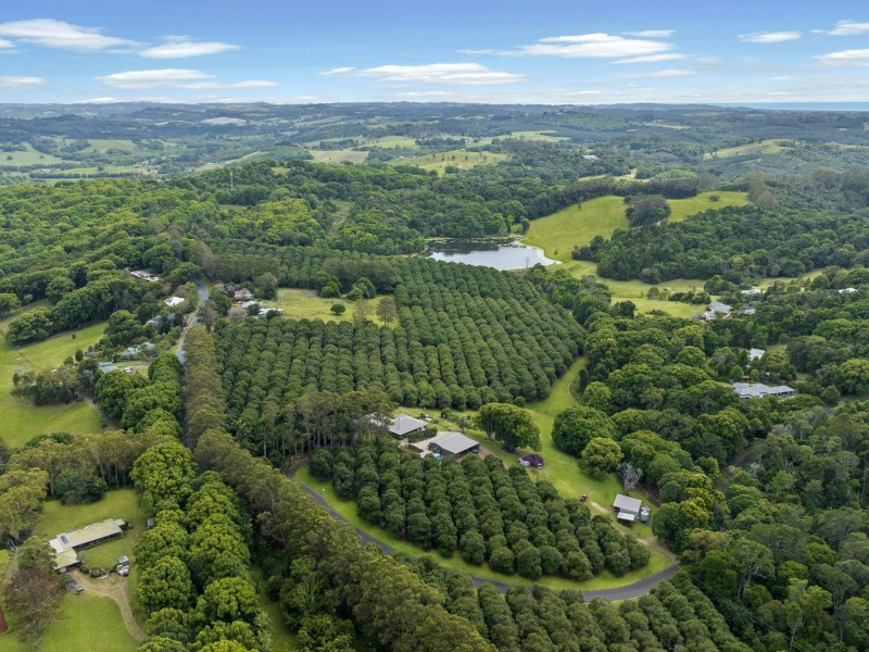 596 Pearces Creek Road, Alstonvale NSW 2477