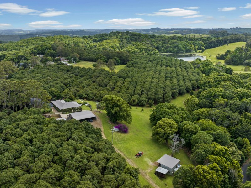 596 Pearces Creek Road, Alstonvale NSW 2477