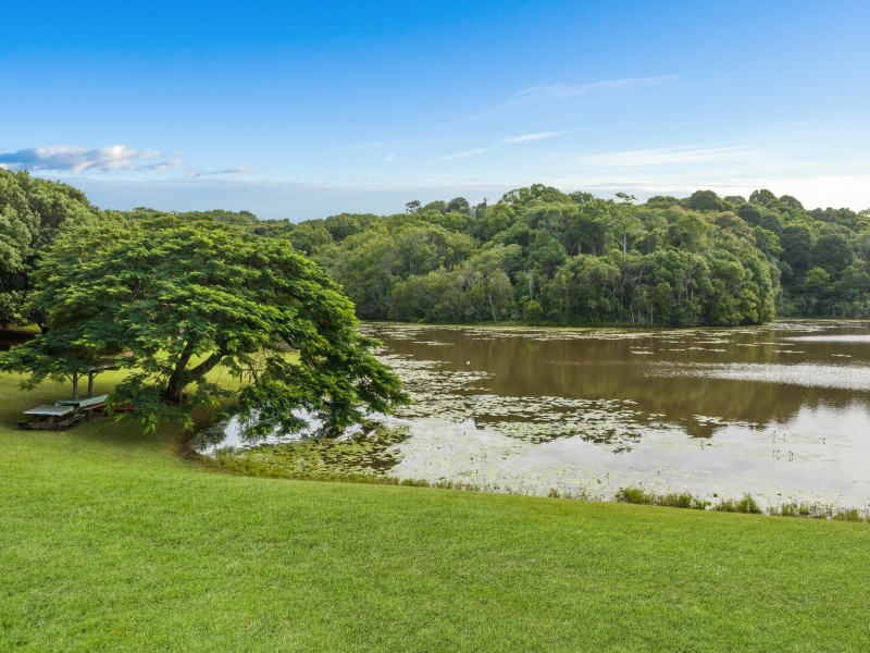 596 Pearces Creek Road, Alstonvale NSW 2477