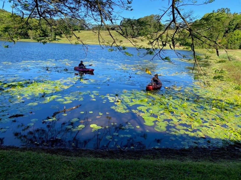 596 Pearces Creek Road, Alstonvale NSW 2477