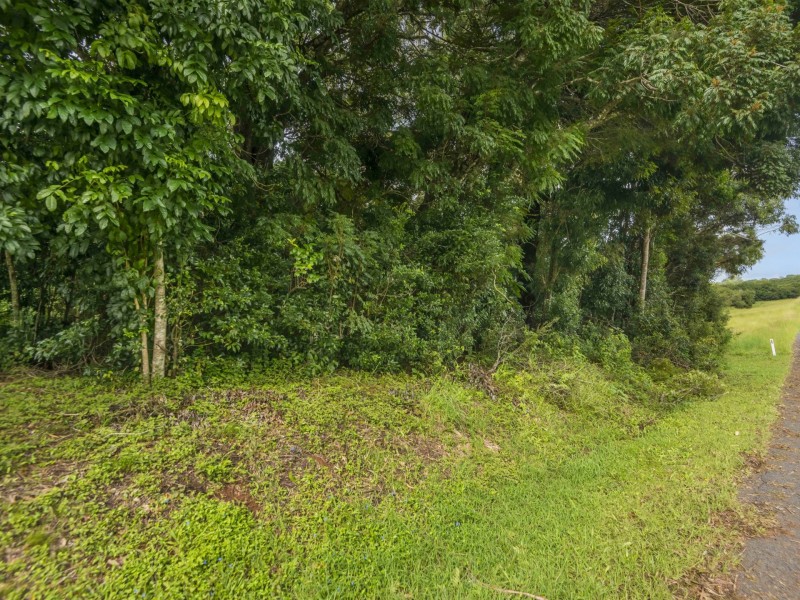 67 Lindendale Road, Lindendale NSW 2480