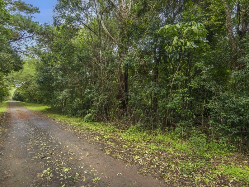 67 Lindendale Road, Lindendale NSW 2480