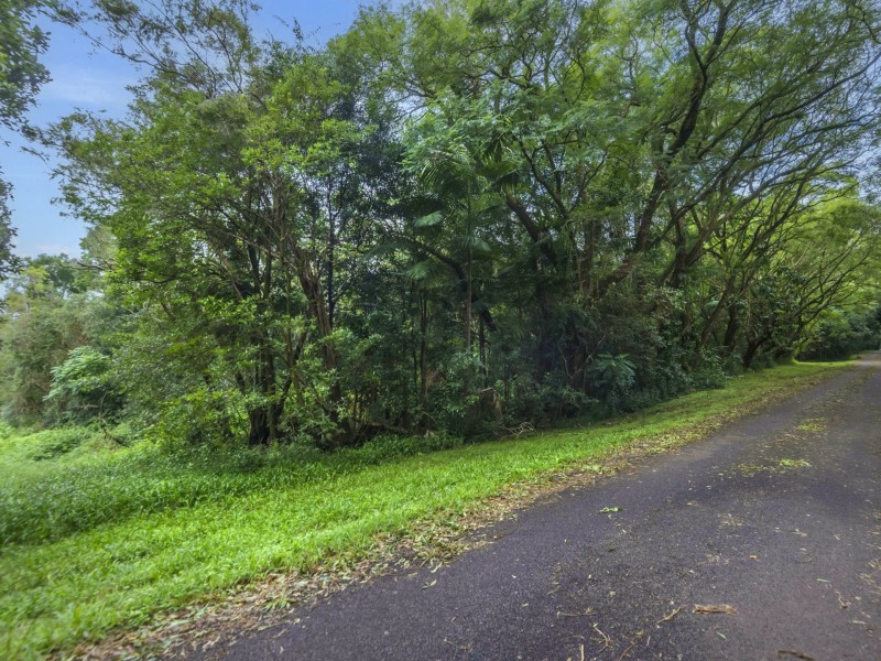 67 Lindendale Road, Lindendale NSW 2480