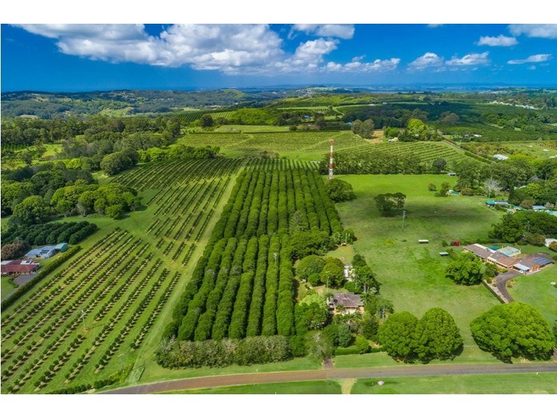 633 Uralba Road, Lynwood NSW 2477