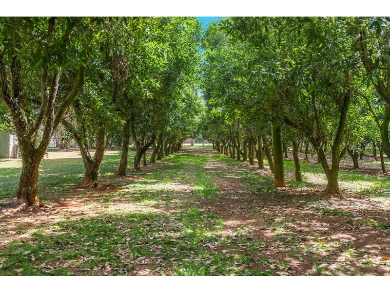 633 Uralba Road, Lynwood NSW 2477