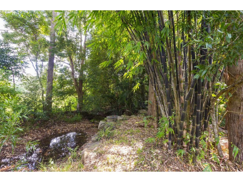 650 Marom Creek Road, Meerschaum Vale NSW 2477