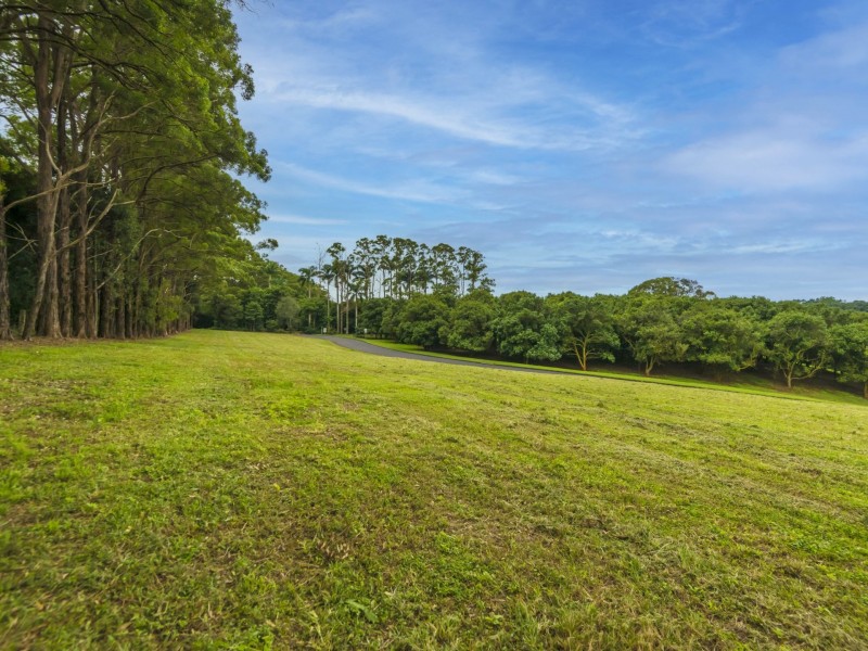 Lot 21 Wenga Drive, Alstonvale NSW 2477