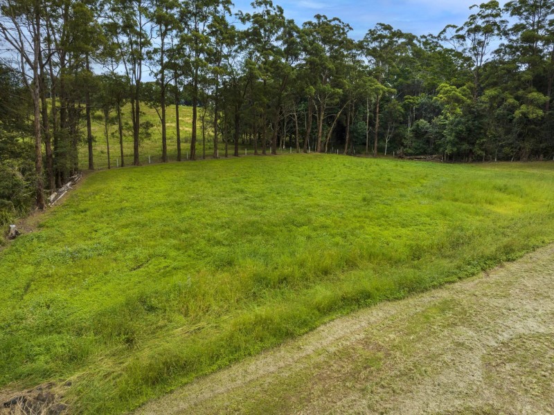 Lot 21 Wenga Drive, Alstonvale NSW 2477