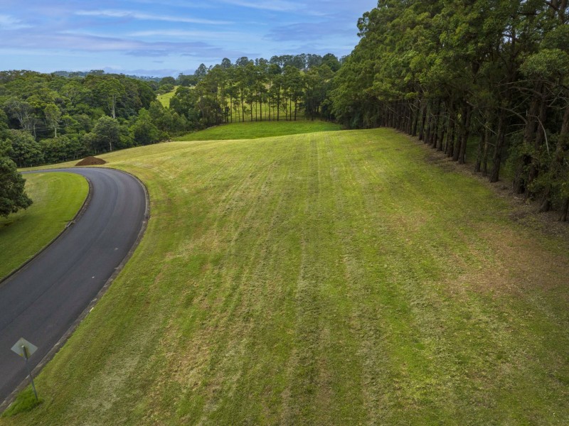 Lot 21 Wenga Drive, Alstonvale NSW 2477