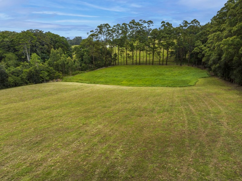 Lot 21 Wenga Drive, Alstonvale NSW 2477