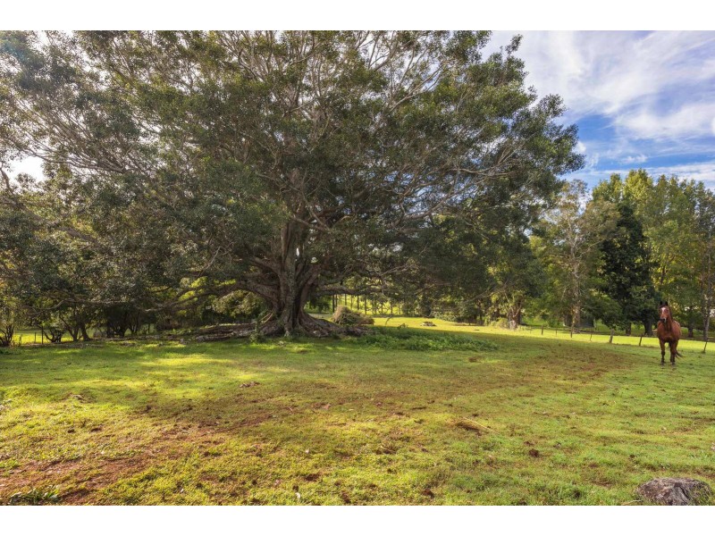 755 Houghlahans Creek Road, Pearces Creek NSW 2477