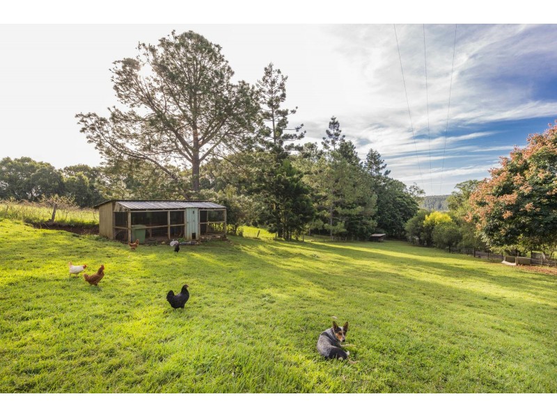 755 Houghlahans Creek Road, Pearces Creek NSW 2477