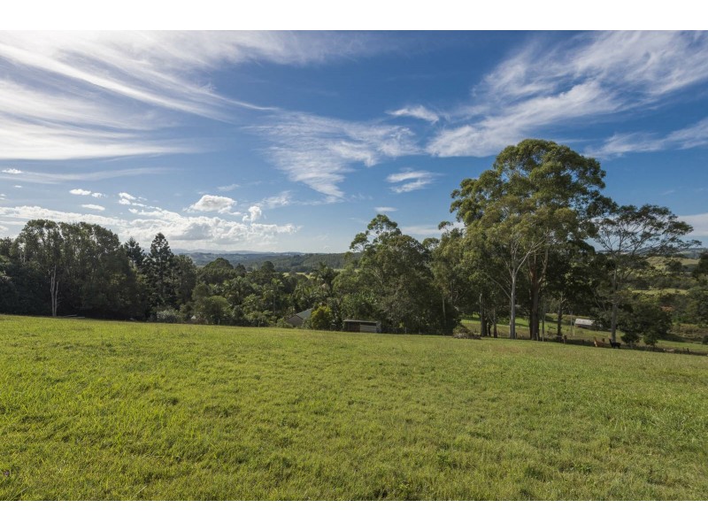 755 Houghlahans Creek Road, Pearces Creek NSW 2477