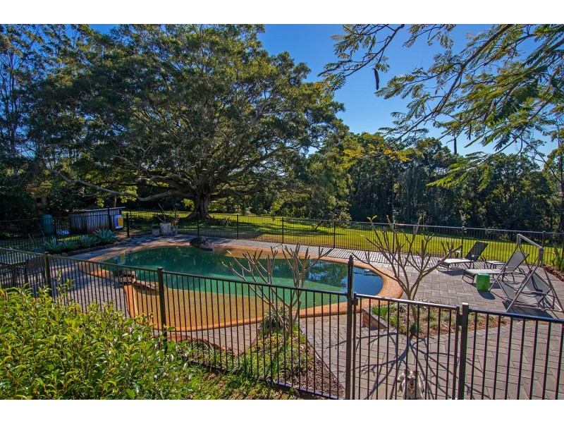 458 Humpty Back Road, Pearces Creek NSW 2477