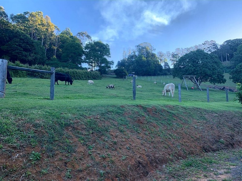 143 Bartletts Lane, Meerschaum Vale NSW 2477