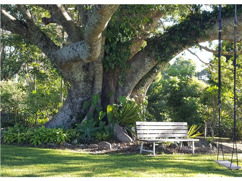 314 Rous Road, Rous NSW 2477