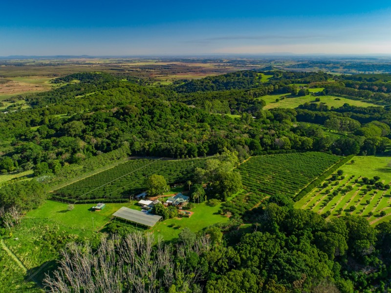 145 Victoria Park Road, Dalwood NSW 2477