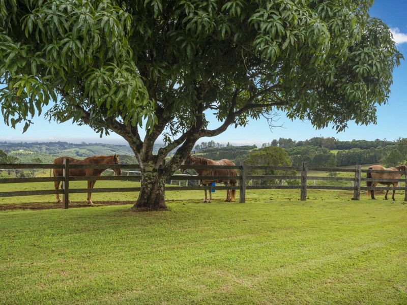 545 Fernleigh Road, Fernleigh NSW 2479