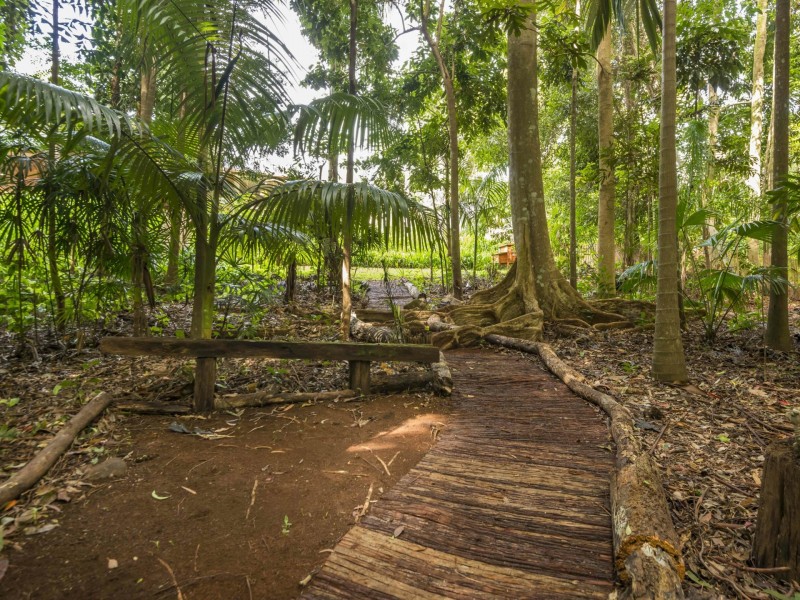 6 Coachwood Court, Alstonville NSW 2477