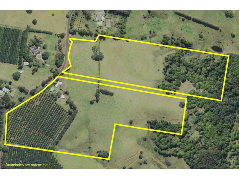 639 Tregeagle Road, Tregeagle NSW 2480