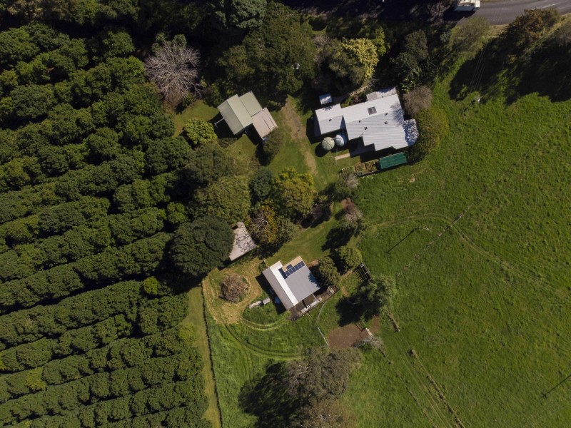 639 Tregeagle Road, Tregeagle NSW 2480