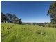 639 Tregeagle Road, Tregeagle NSW 2480