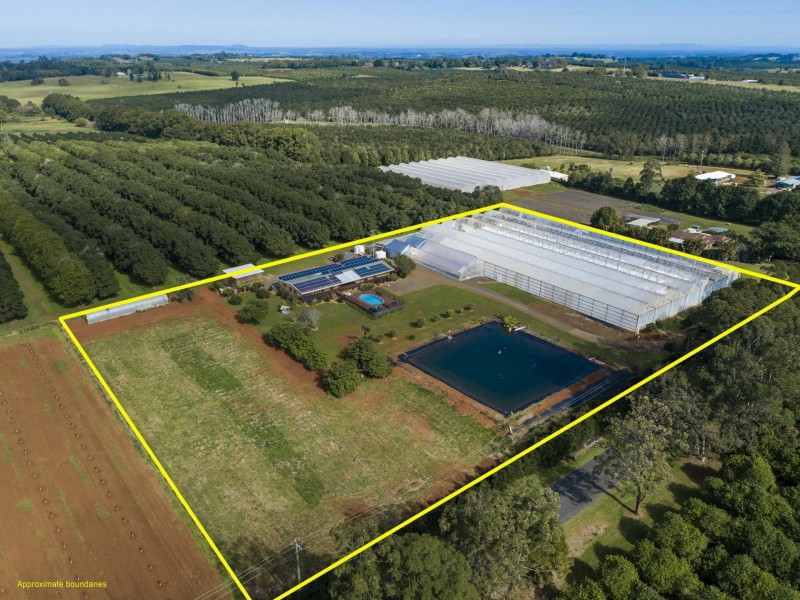 155 Rous Road, Rous NSW 2477