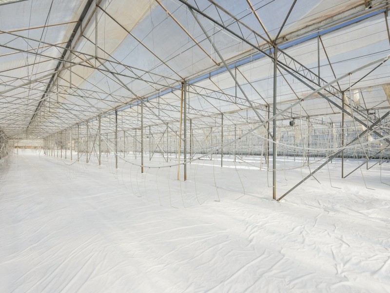 155 Rous Road, Rous NSW 2477