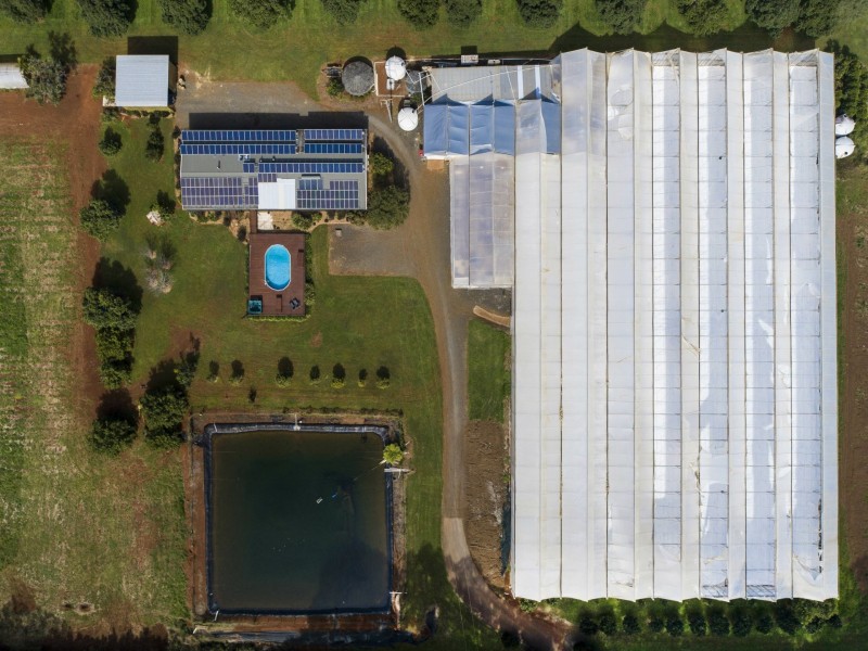 155 Rous Road, Rous NSW 2477