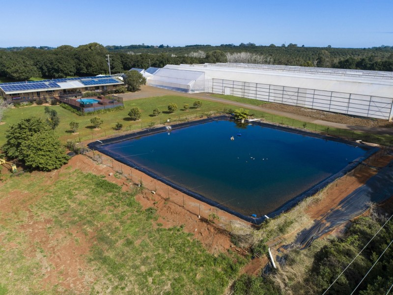 155 Rous Road, Rous NSW 2477